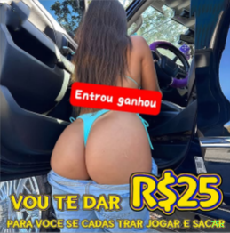 Suporte Login